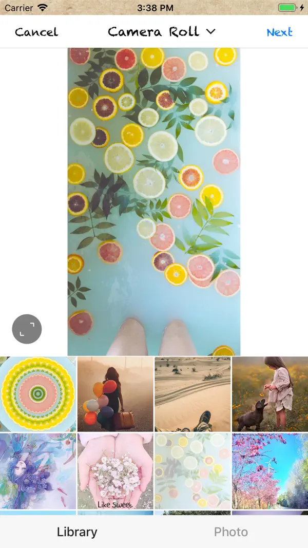 InSketch：Turn photos, videos and Live Photos into textured pencil sketches and art effects.